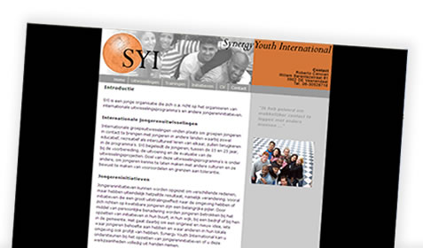 Synergy Youth International