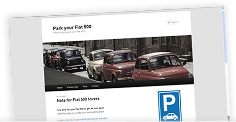 Portfolio Wizard Wise - Park your Fiat 500